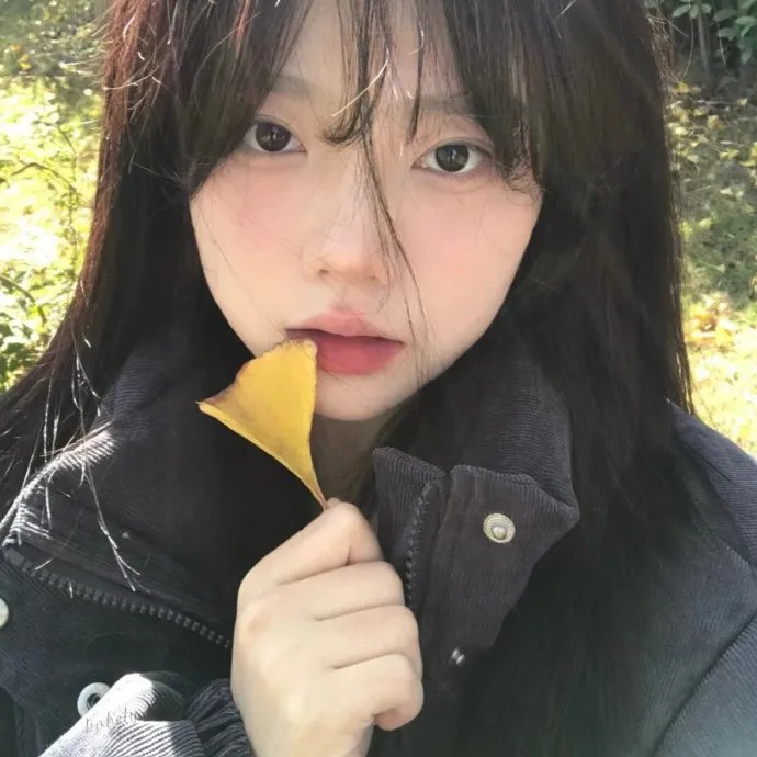 小犬与女孩