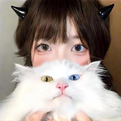 钢甲卡卡龙